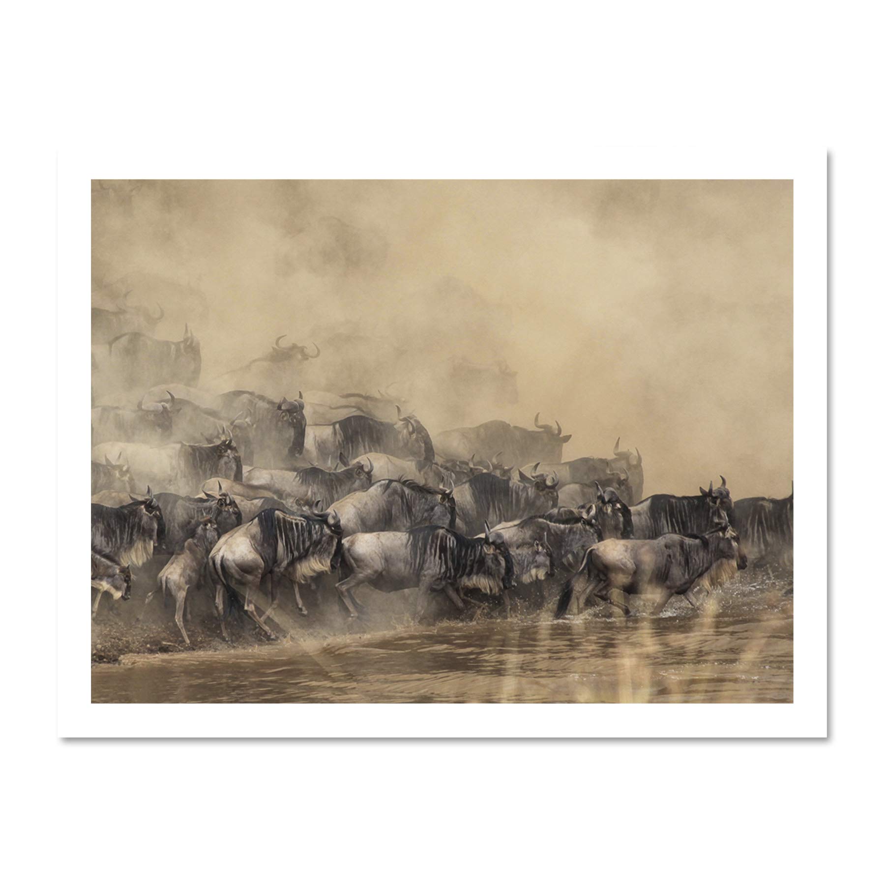 Wildebeest Antelope Herd Dust Large Framed Art Print Poster Wall Decor 18x24 inch