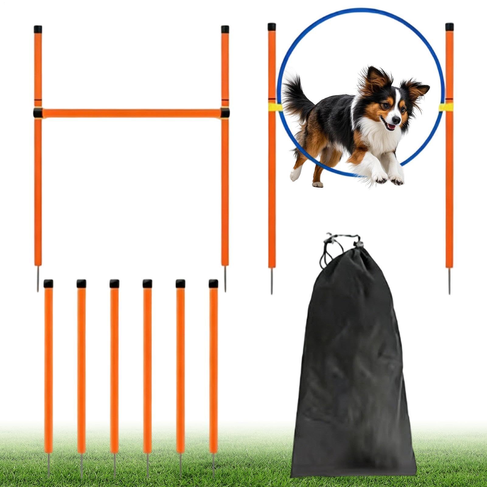 Equipo de adiestramiento en agilidad para perros juego con ejercicio con | Equipo para Parque Canino Para recreación competición campo zona lúdica playa parque jardín y