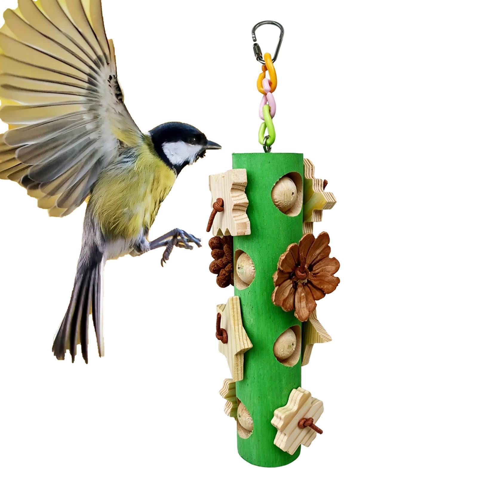 Jouets pour oiseaux pour conures pour le bonheur de votre perroquet