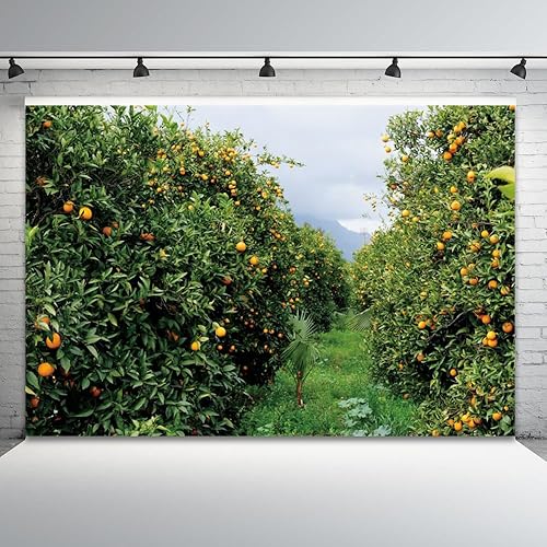Miniatura 3 de Telón de fondo para fotografía de huerto naranja de 10 x 8 pies, árbol frutal, jardín, paisaje, fotografía, huerto, granja, campo, paisaje natural,