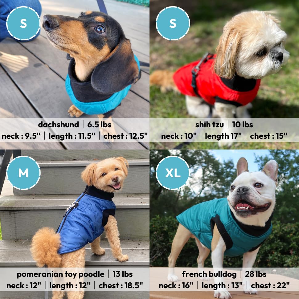 Image of Gooby G21 Bomber Dog Jacket, Blue, Small | Thick padded layers; Waterproof outer; Silky-smooth inner; Zipper guard; Bottom-opening