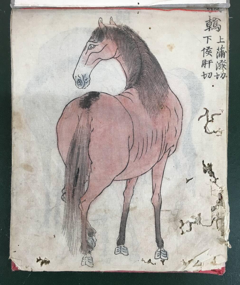 Amazon.co.jp: 馬種？／[木版画馬図11紙]／徒切／愚表切／朝鮮