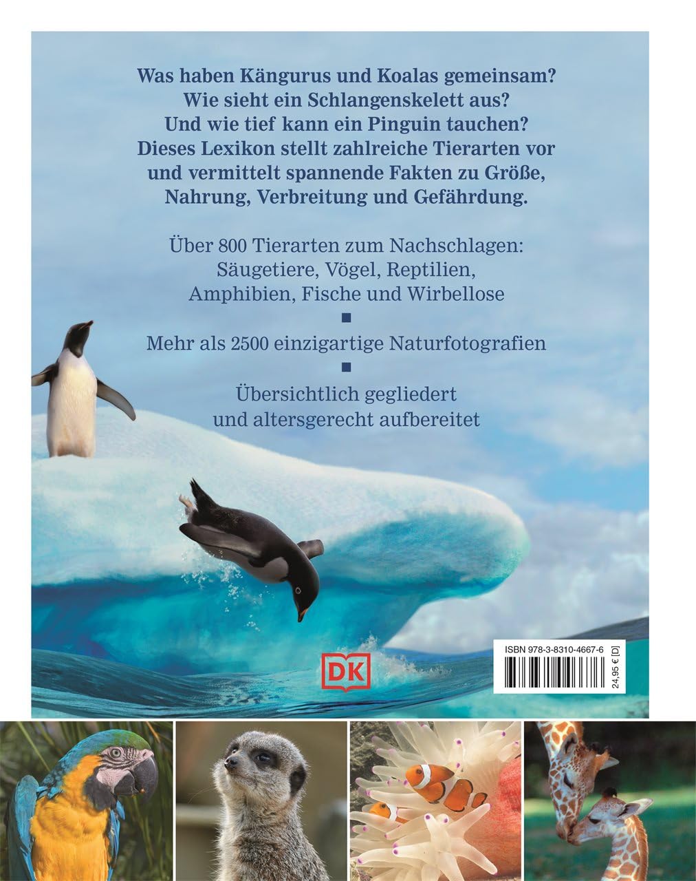 Wissen für clevere Kids. Tiere für clevere Kids: Lexikon mit 1500 farbigen Fotos und Illustrationen für Kinder ab 8 Jahren