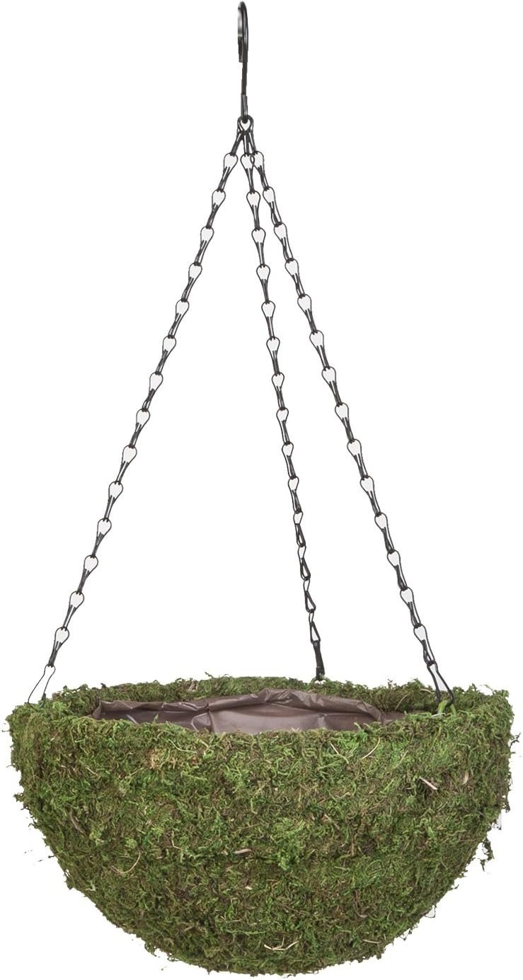 PANACEA PRODUCTS 14" Green Moss Round Basket