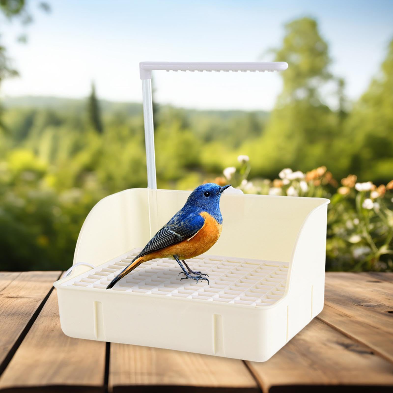Bac de Bain pour Oiseaux de Compagnie, Facile à Nettoyer, pour Perroquets, Perruches Ondulées et Calopsittes, Blanc