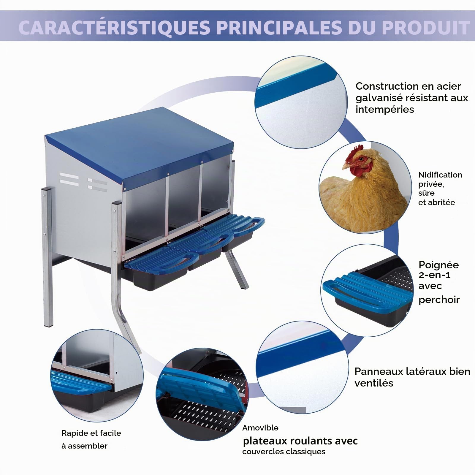 Pondoir pour poules avec pieds 3 compartiments - En métal solide - Avec compartiment à œufs - Nid de poules pour grandes poules - Bleu