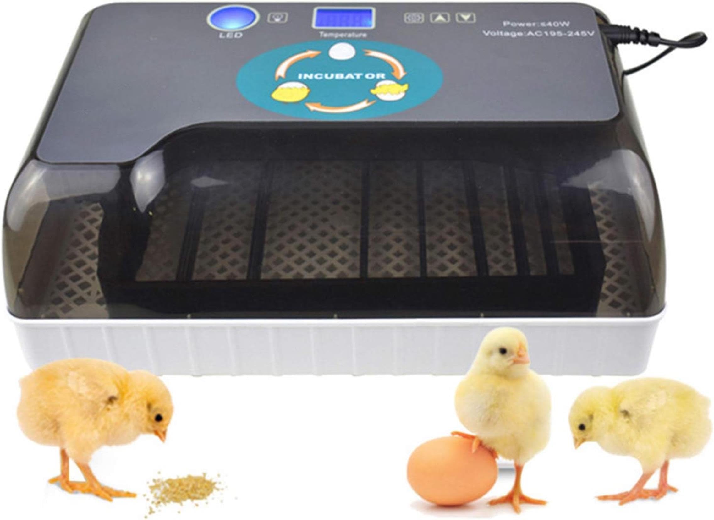 Incubateur d'oeufs numérique automatique XENITE avec mire-œuf LED