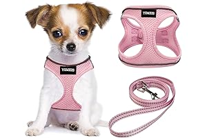 No-Pull, Reflective Dog Harness and Leash Set for Small Pets