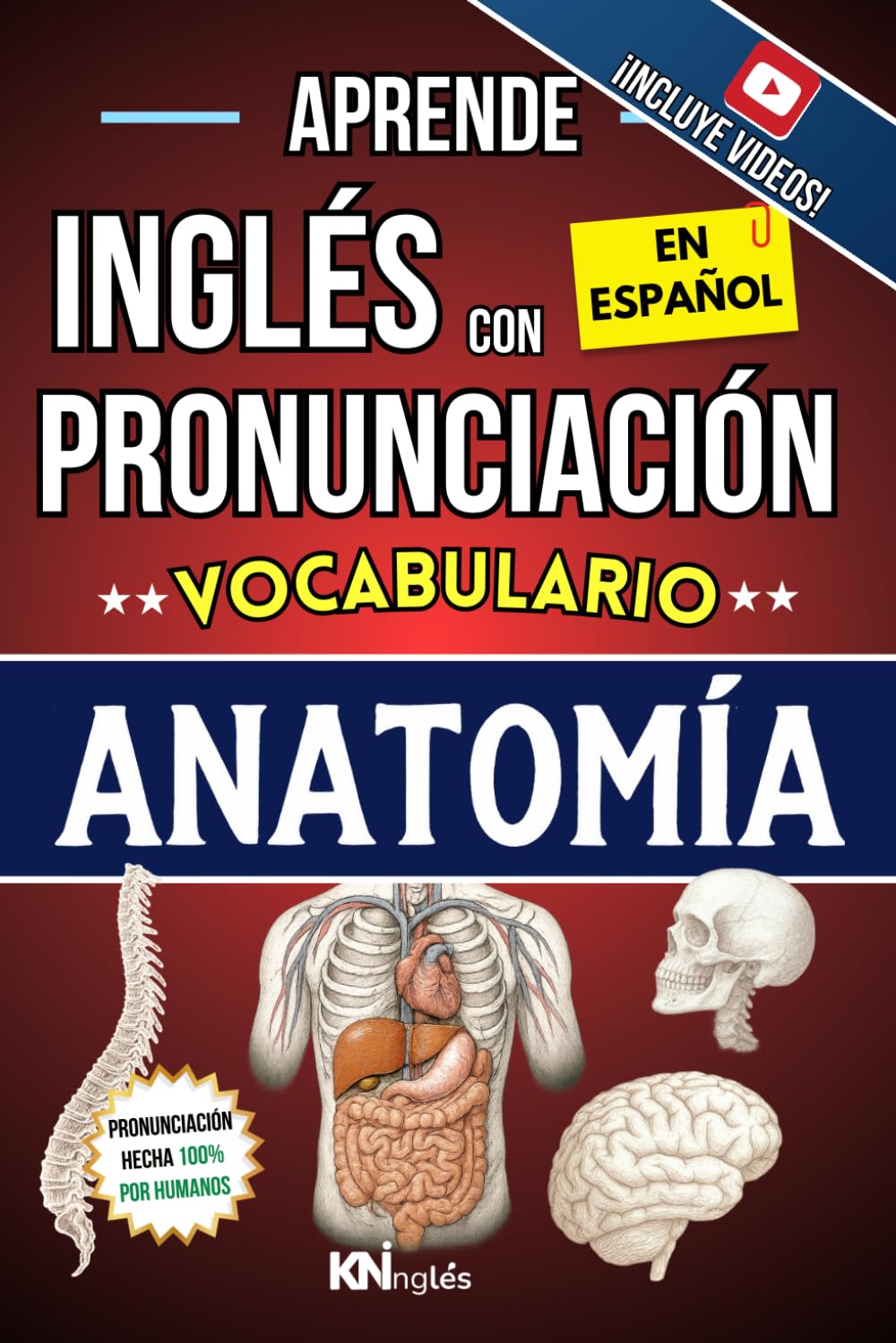 APRENDE INGLÉS CON PRONUNCIACIÓN EN ESPAÑOL - VOCABULARIO ANATOMÍA HUMANA: KNINGLÉS - Inglés para Trabajos en Área de Medicina / Enfermería - Inglés ... INGLÉS ES TAN FÁCIL COMO LEER EN ESPAÑOL)