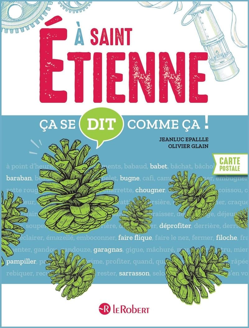 Ca se dit comme ca a Saint-Etienne: 150 words of the local dialectical French of St Etienne