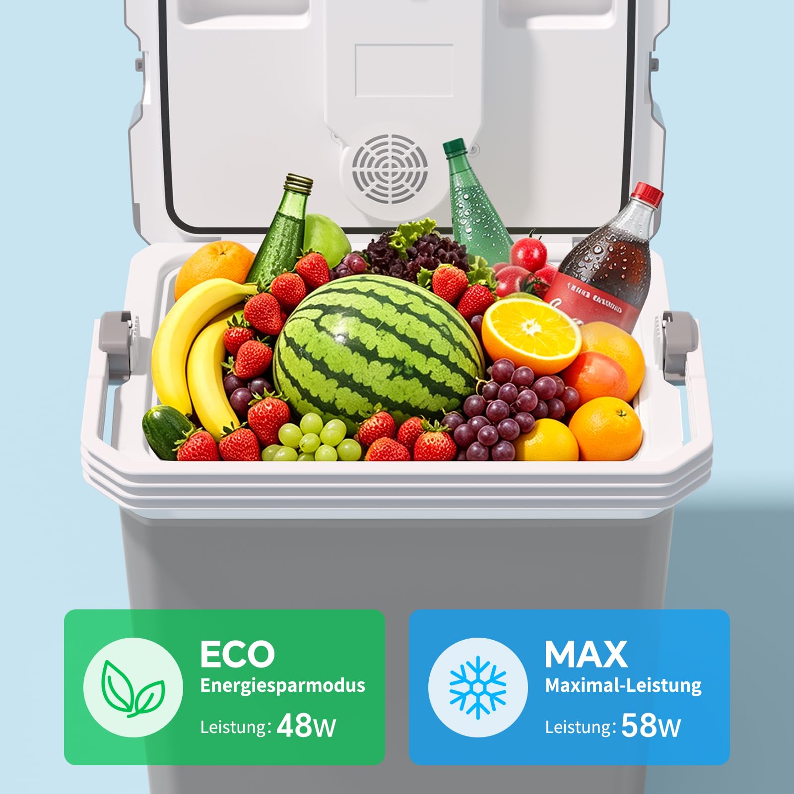 TOOHUB 32L Kühlbox, Elektrische Kühlbox 12V/230V Kühl & Warm, Mini Kühlschrank mit ECO-Modus, Camping Picknick Wohnmobil
