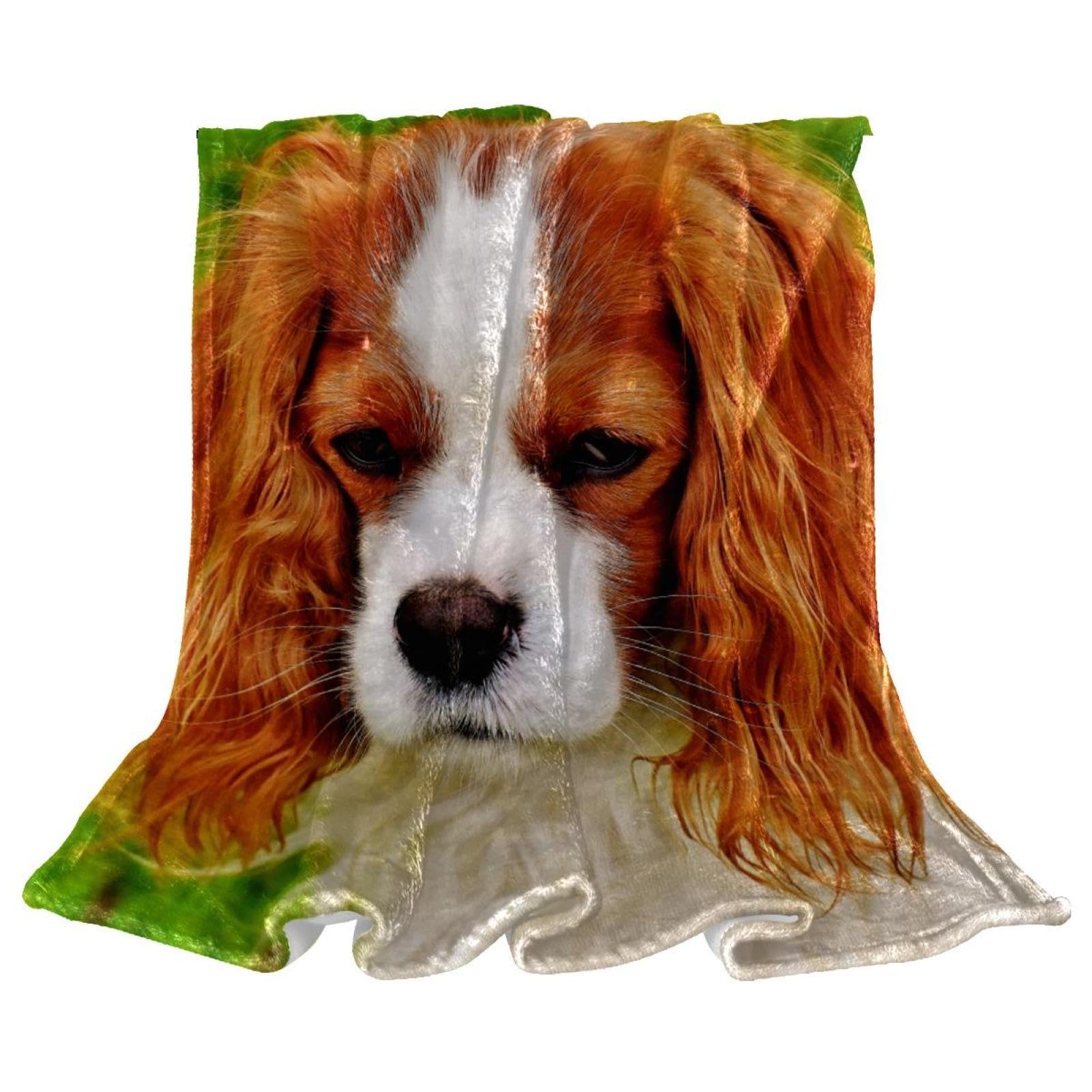 Couverture polaire chien d'amour pour des soirées cocooning douces sur le divan