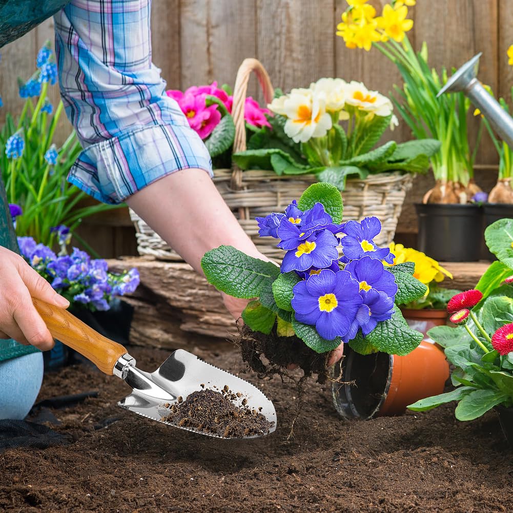 Blumenkelle, Mini-Pflanzkelle mit Messtiefenmarkierung, Handschaufel aus Edelstahl zum Pflanzen und Umtopfen, Holzgriff-Neue Kleine Gartenkelle