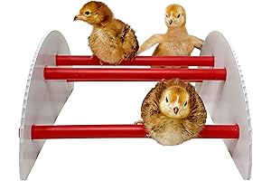 N-Play Chick Brooder Accessory: Keep Your Chicks Entertained