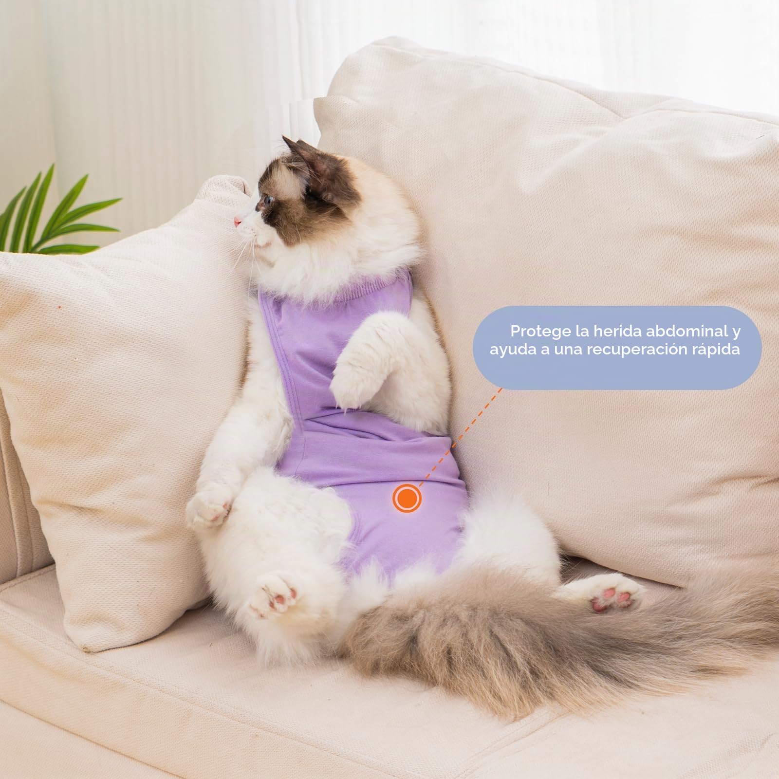 Avont Body De Recuperación para Gatos, Mono Suave para Después De Cirugía, Alternativa Transpirable para Gatas Esterilizadas, Cuidado De Heridas En La Piel, Color Púrpura, Talla S