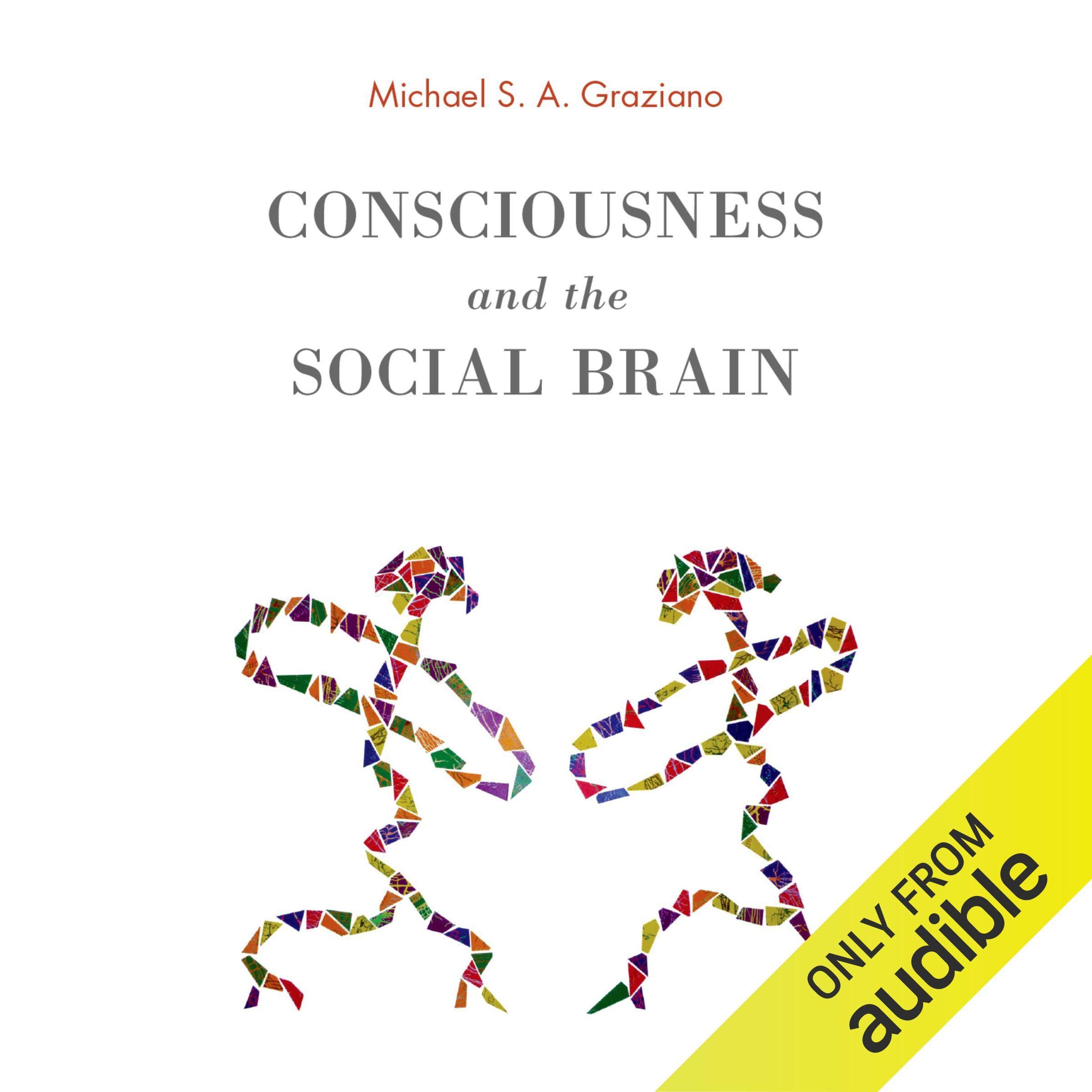 Cover art for Consciousness and the Social Brain