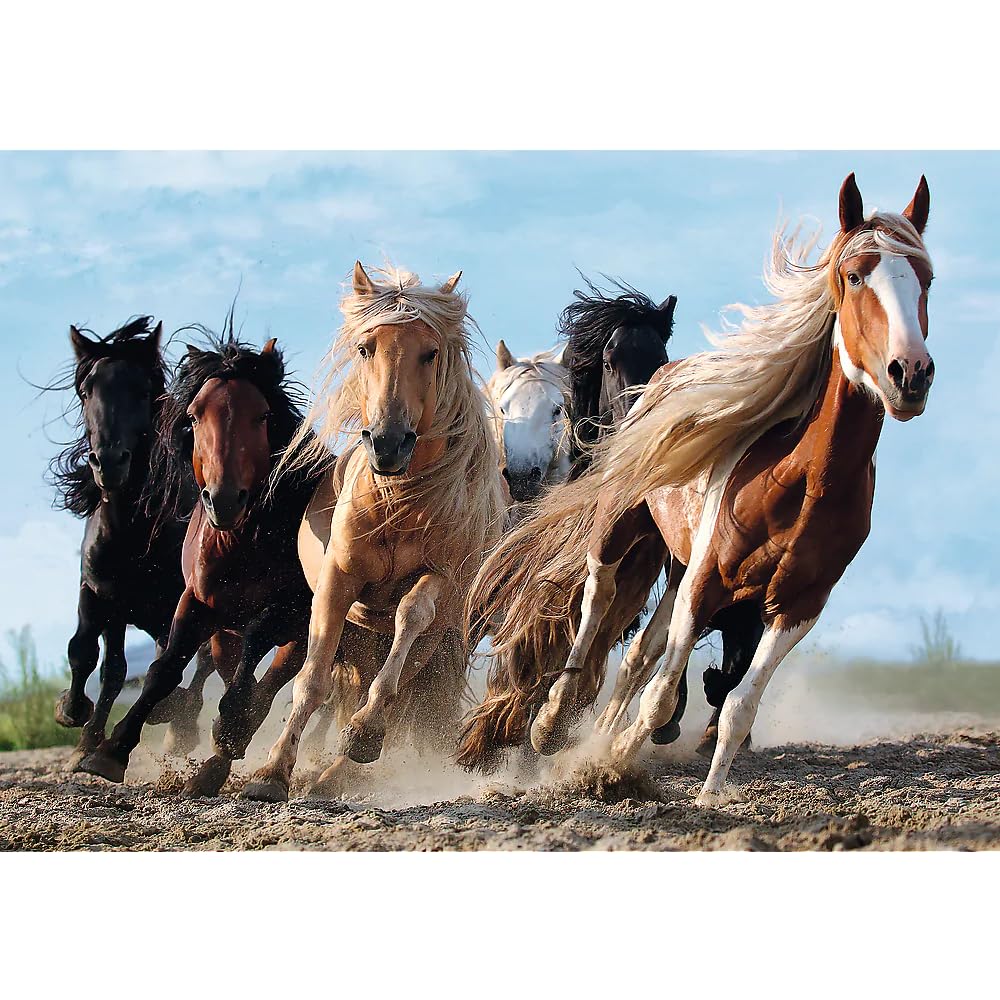 Trefl - Puzzle Cavalli al galoppo - 1000 Elementi, cavalli al galoppo, cavalli di diversi colori, galoppo, puzzle fai da te, intrattenimento creativo, regalo, divertimento, puzzle classici - 2