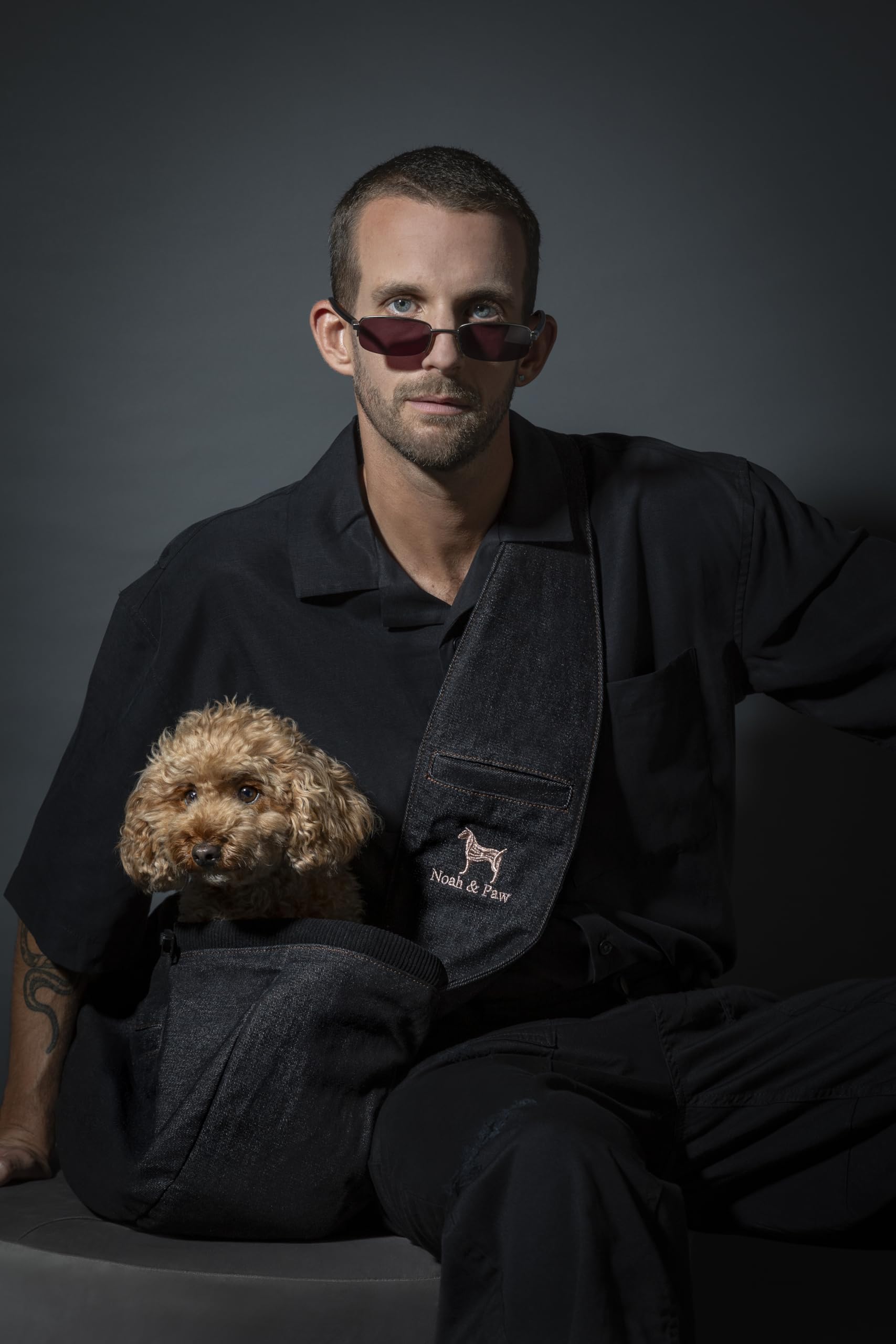 Noah & Paw Hundetragetasche für Kleine Hunde bis 10kg, Hundetasche mit Verstellbarem Schultergurt, und Weichem Fell, 3X Sicherheitsfunktion, Haustiere Tragetasche aus Premium Denim