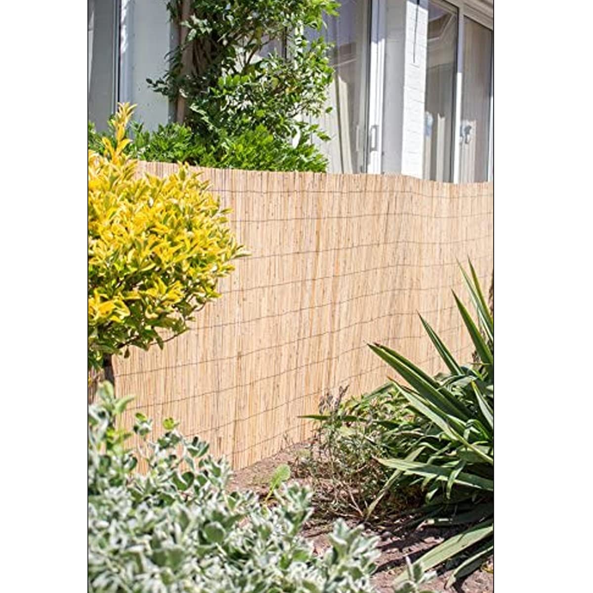 Juego de 4 Cañizos Naturales, Vallas de Ocultación y Decoración de Ambientes para Jardín, Balcón y Patio, Privacidad y Protección Contra el Viento y el Sol - Longitud 500 x Profundidad 120 cm -JUANIO-