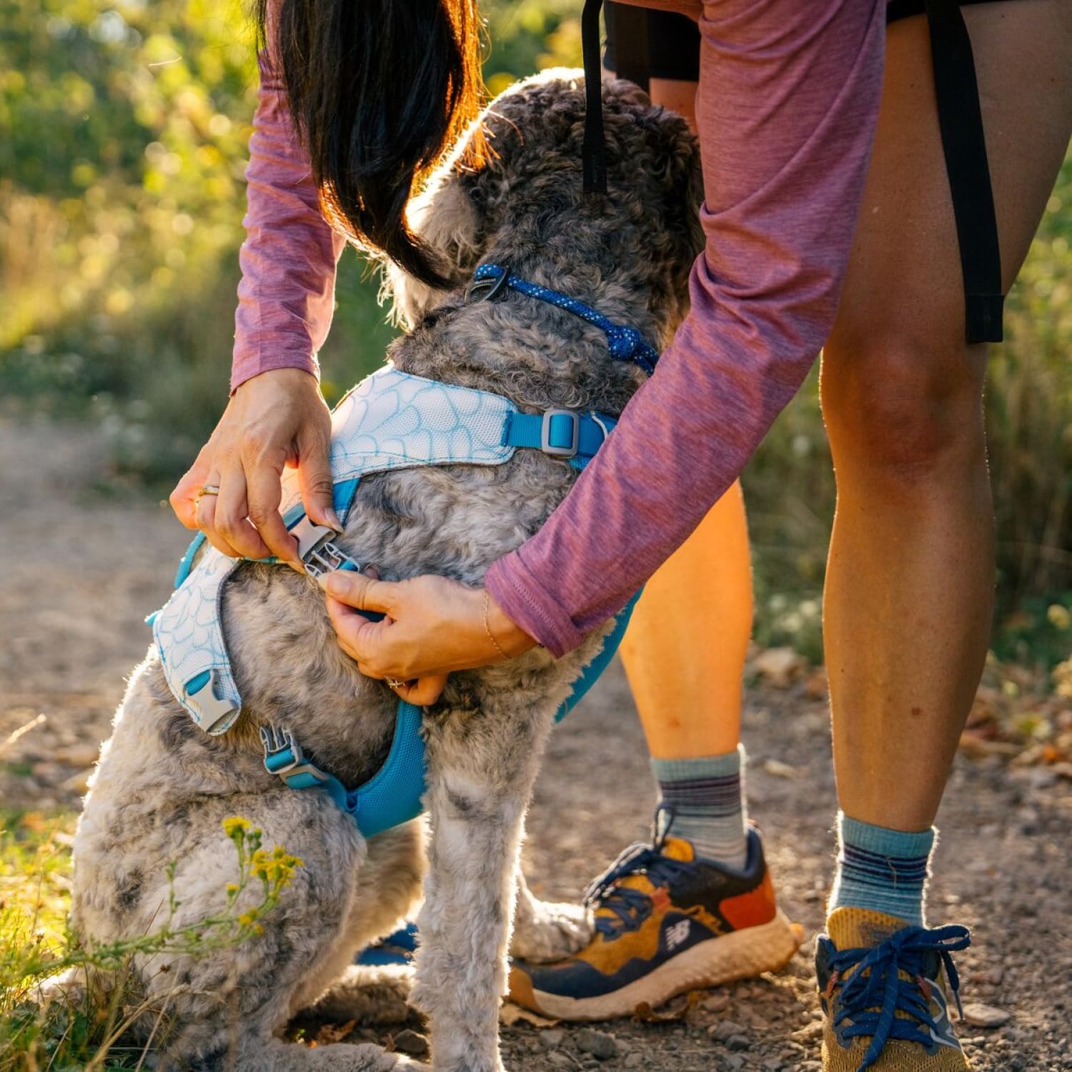 Amazon | RUFFWEAR(ラフウェア) スワンプクーラードッグハーネス
