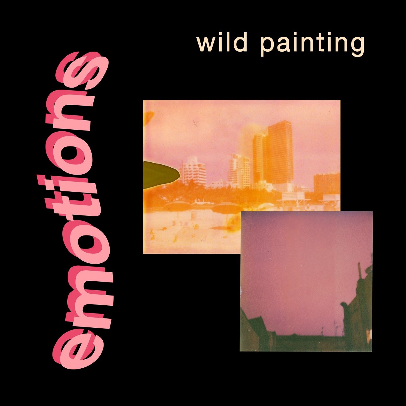 Wild Painting