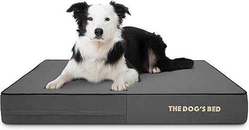 Cama ortopédica para perro de la marca The Dog's Bed, espuma viscoelástica premium S-XXXL, impermeable, alivio del dolor de perro para la artritis,