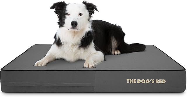 The Dogs Bed Orthopaedic Dog Bed Large Grey with Black Piping, Waterproof Memory Foam Dog Bed