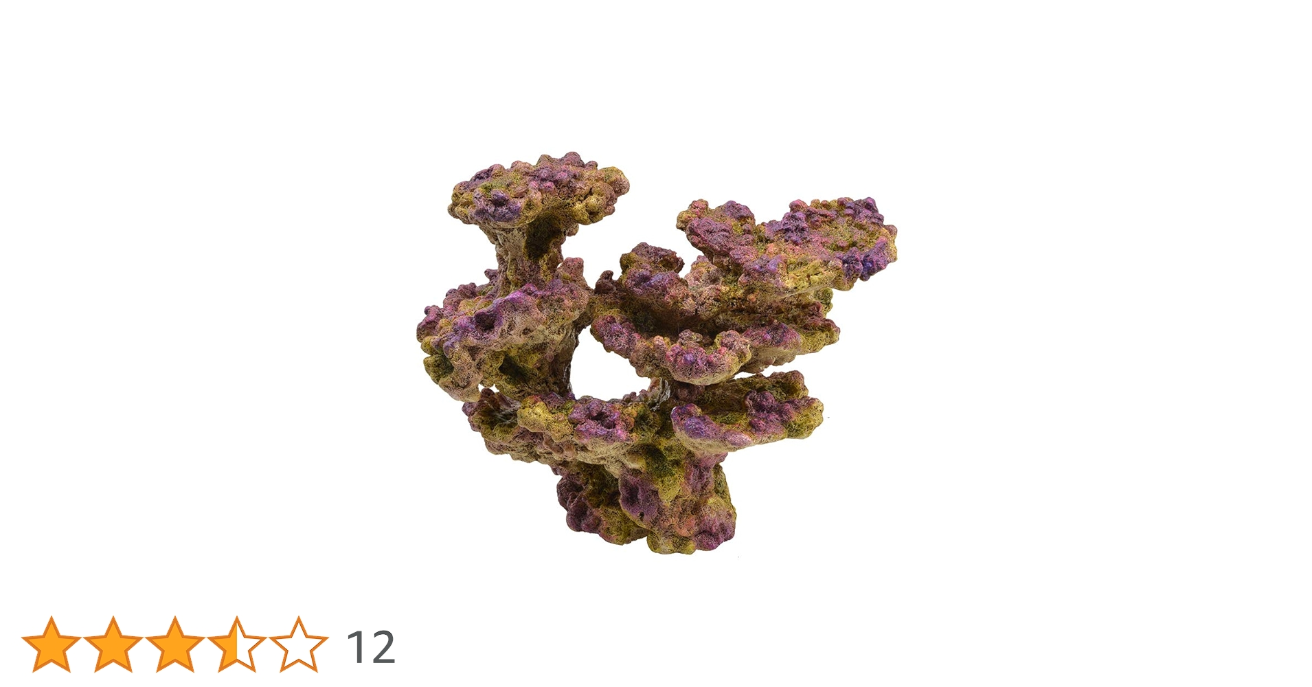 サンゴと貝殻のセット 20点以上 貝殻・サンゴのセット その他インテリア雑貨 blowmam 通販