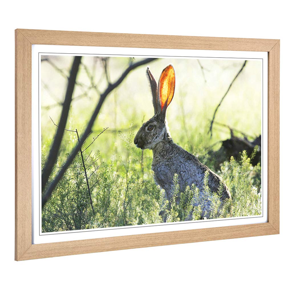 Big Box Art Framed Print of Hare in The Meadow Design | Wall Art Picture | Home Decor for Kitchen, Living, Dining Room, Lounge, Bedroom, Hallway, Office, Oak, A2 / 24.5x18 Inch / 62x45cm
