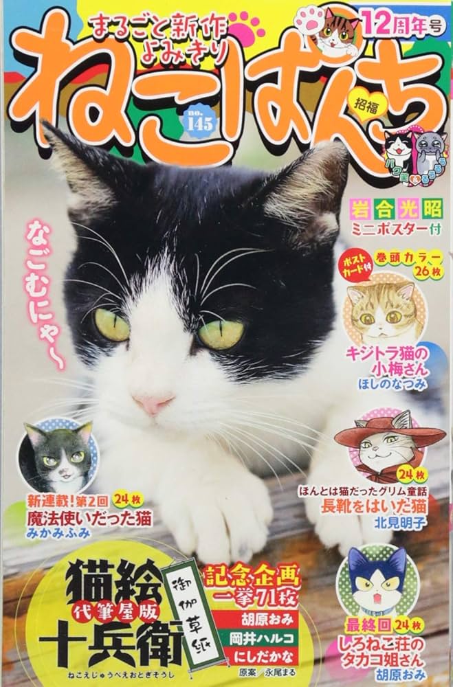 【中古】 ねこぱんち Ｎｏ．１４５/少年画報社 中古】 ねこぱんち No．145/少年画報社