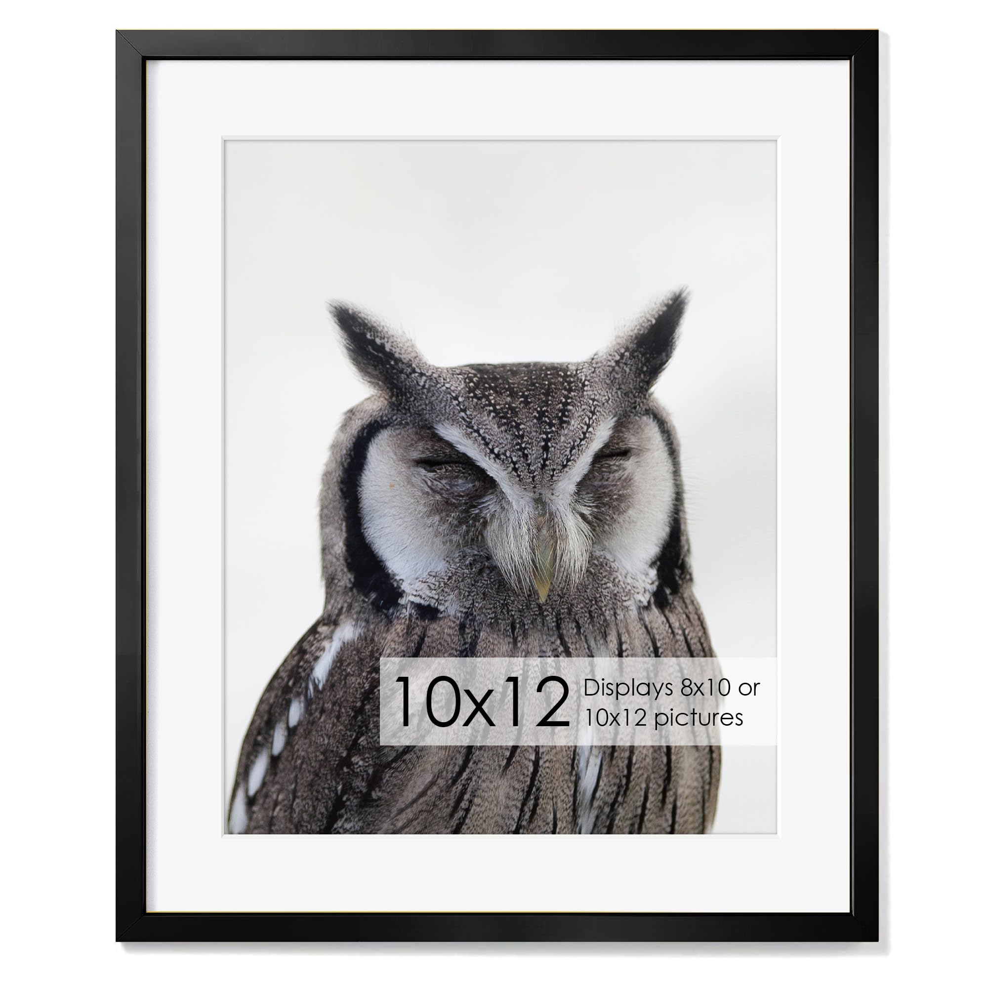 Fun Memories 10x12 Metal Picture Frame- 10x12 Aluminum Photo Frames with 8x10 Mat, High-Definition Plexiglass Front, and Hanging Hardware - Ideal for Wall or Tabletop Display (Black, Pack of 1)