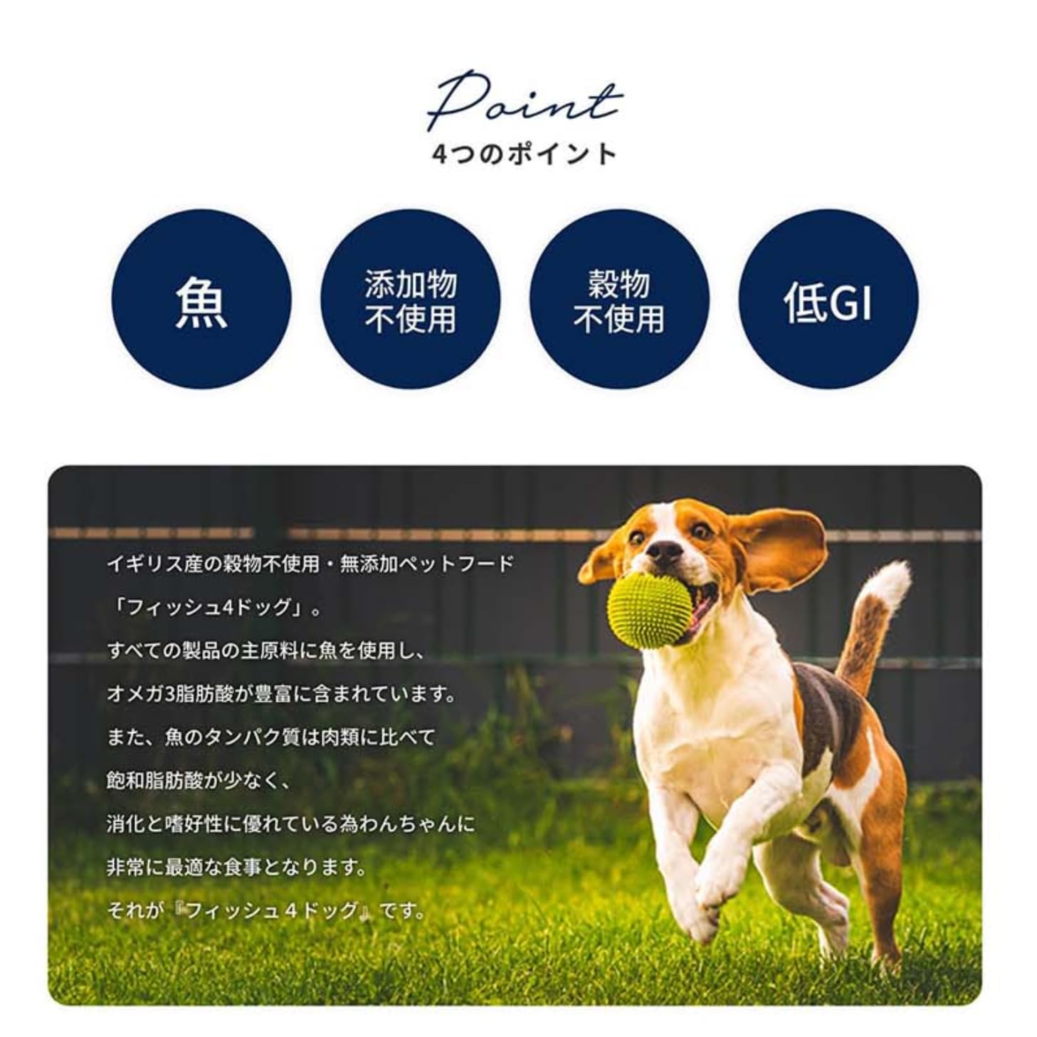 Amazon.co.jp: フィッシュ4ドッグ FISH 4 DOGS ドッグフード ファイ