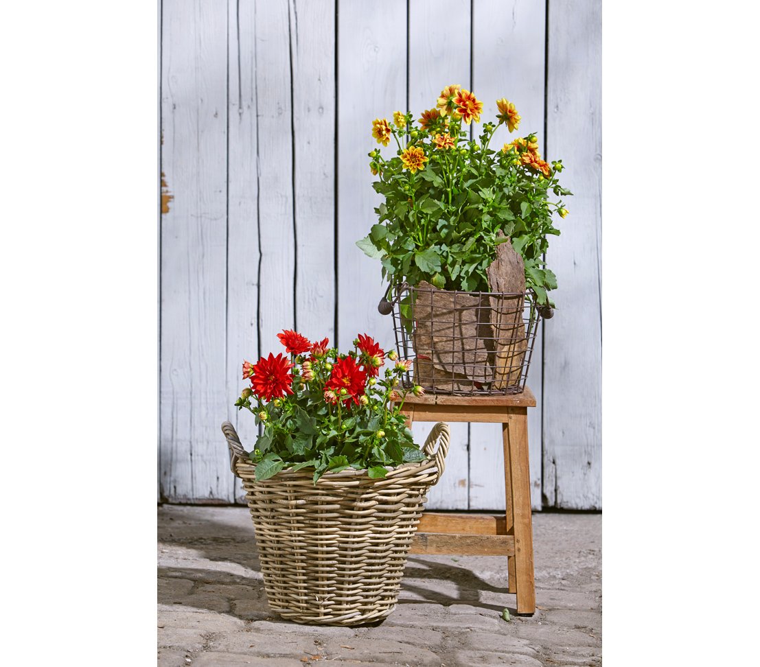 Cesta de mimbre Dehner con asas, Ø 40 cm, altura 30 cm, trenza de ratán, gris / marrón