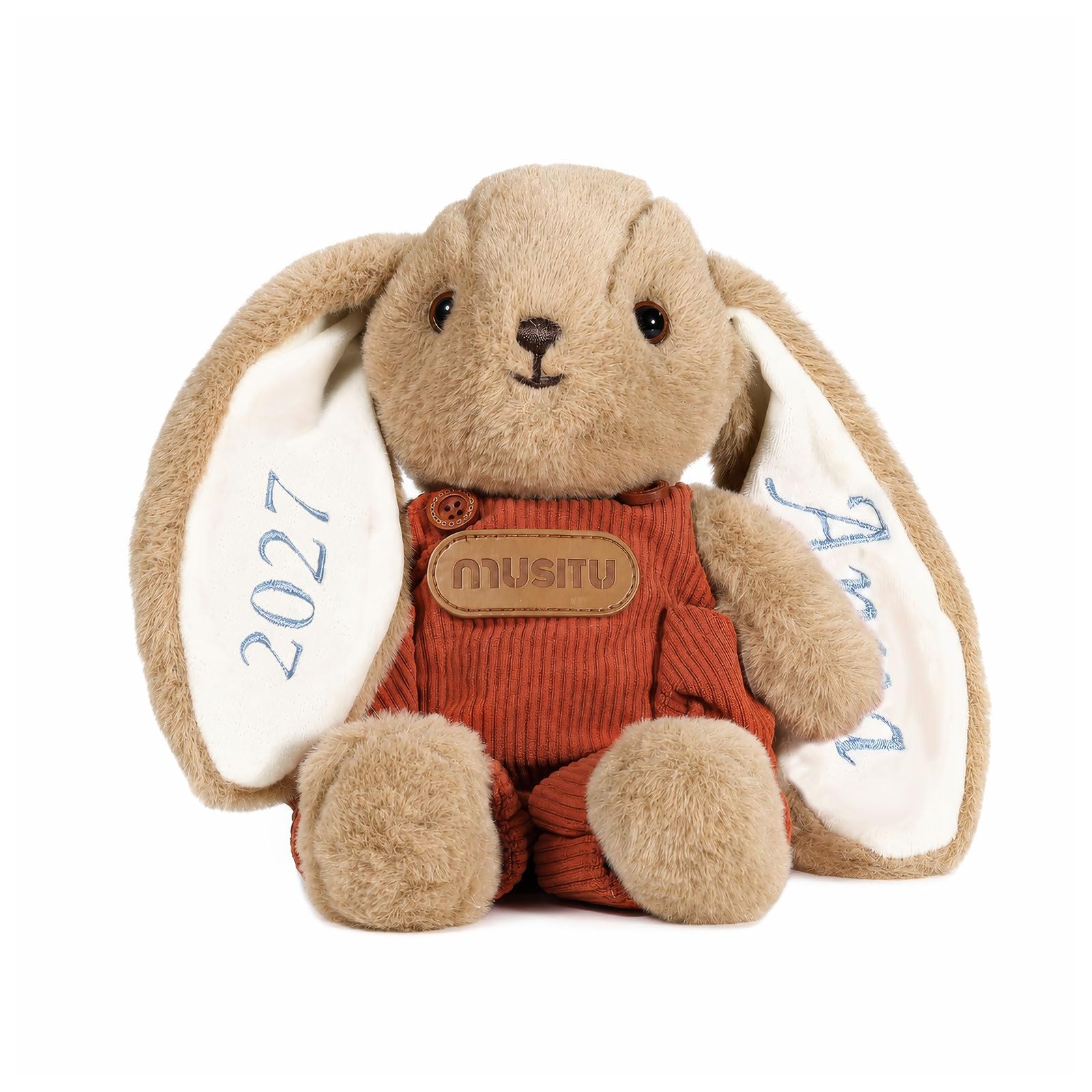 Jeweidea Personalised Bunny Rabbit Soft Toy with Name for Newborns Baby Comfort Plush Toy for Boys Girls for Baby Birthday Gifts Baby Shower Christening Gifts (Style 5)