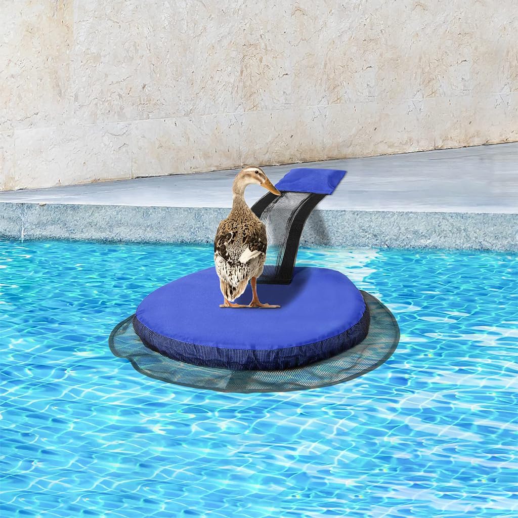 HASTHIP® Animal Saving Escape Ramp for Swimming Pool - Floating Rescue Ramp - Floating Ramp Animal Saver for Frogs, Birds, Squirrels - Outdoor Swimming Pool Safety Accessories & Maintenance Tool-image-13