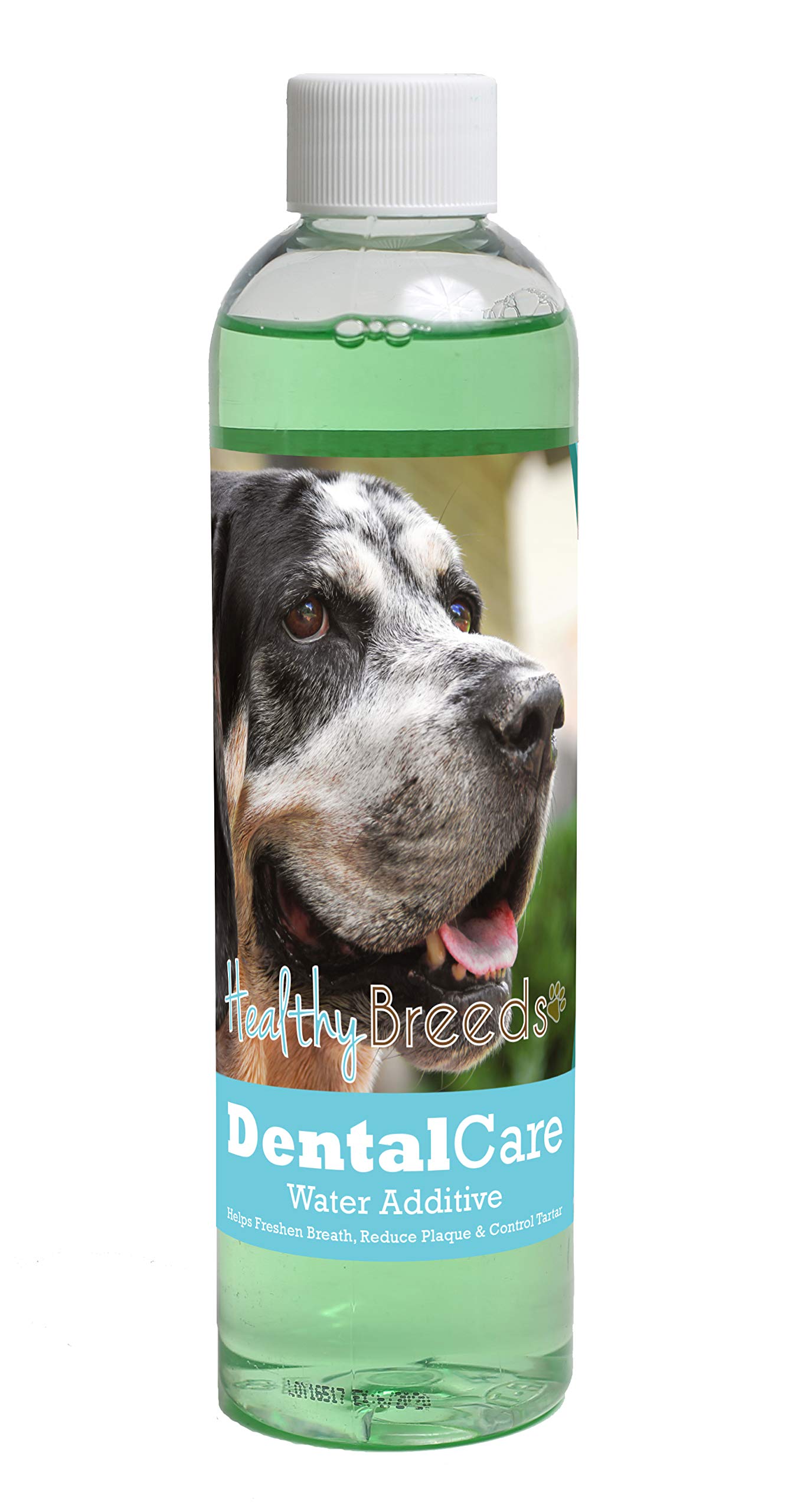 Healthy Breeds Dog Dental Care Water Additive for Bluetick Coonhound - Helps Freshen Breath, Reduce Plaque &amp; Control Tartar - Mint Flavor - 8 oz