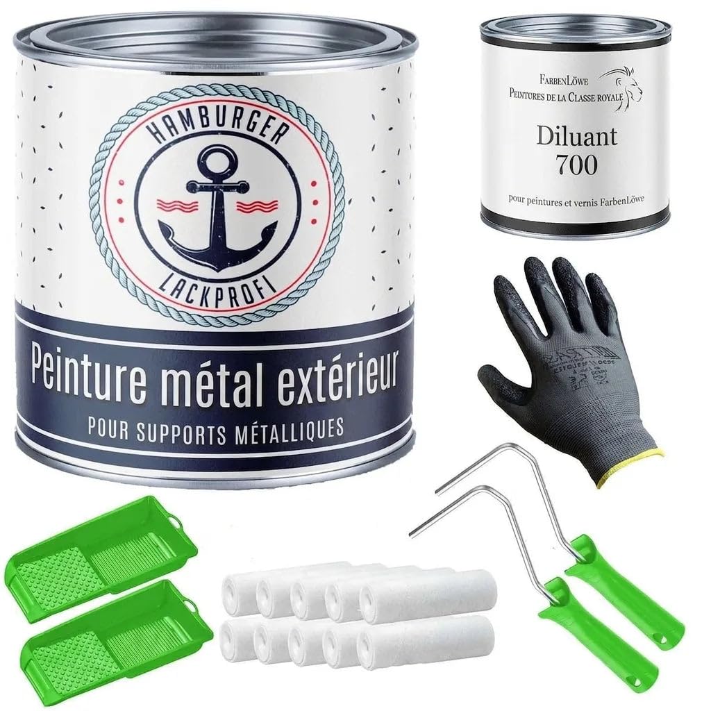 Peinture métal extérieur mat gris quartz RAL 7039 gris Protection métal laque peinture (1 L) Hamburger Lack-Profi