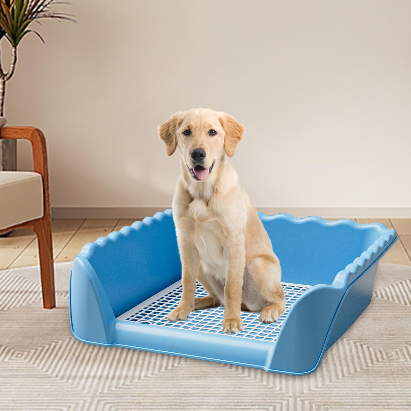 Amazon | Jinhxofs 犬用トイレ ペットポッティートレー メッシュ設計