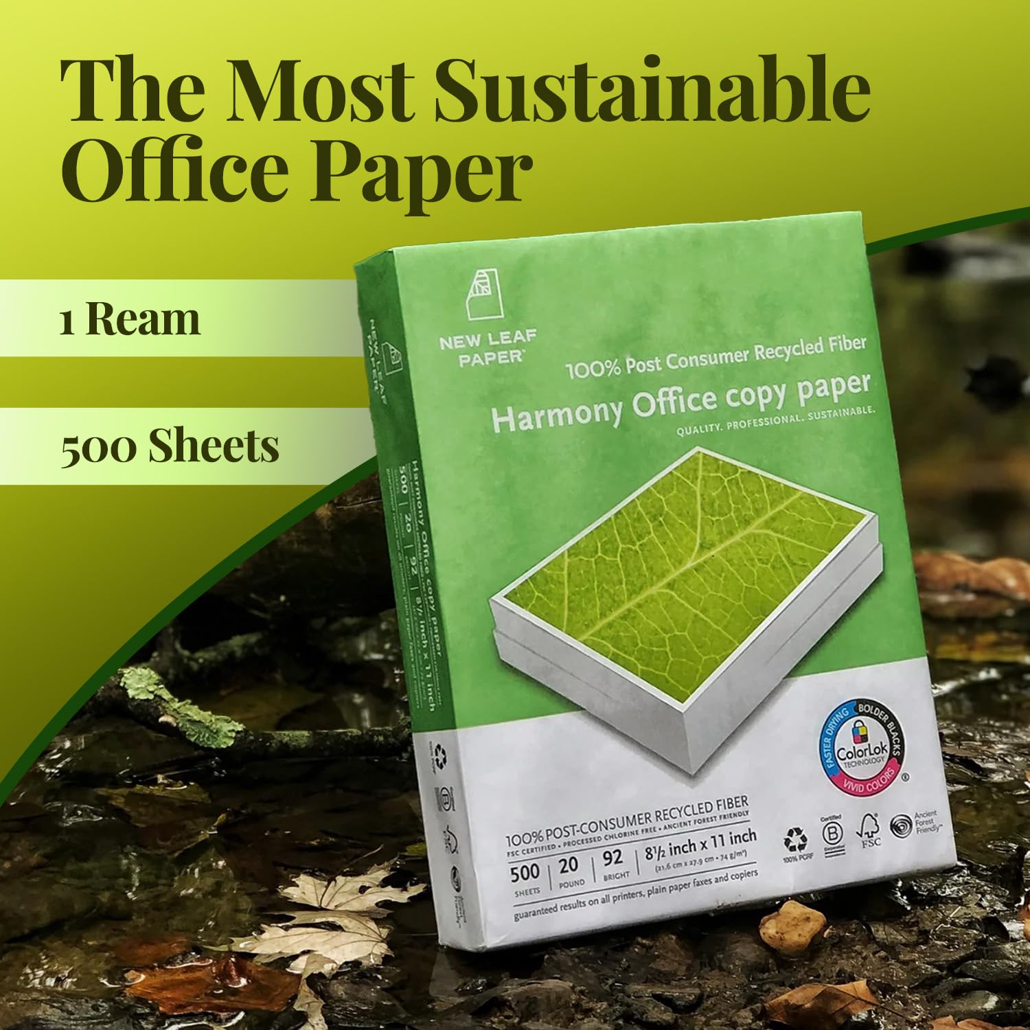 Amazon.com : New Leaf Paper 100% Recycled Printer Paper, Harmony