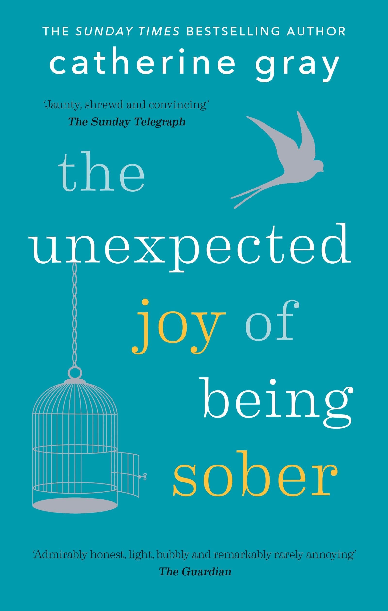 The Unexpected Joy of Being Sober: THE SUNDAY TIMES BESTSELLER