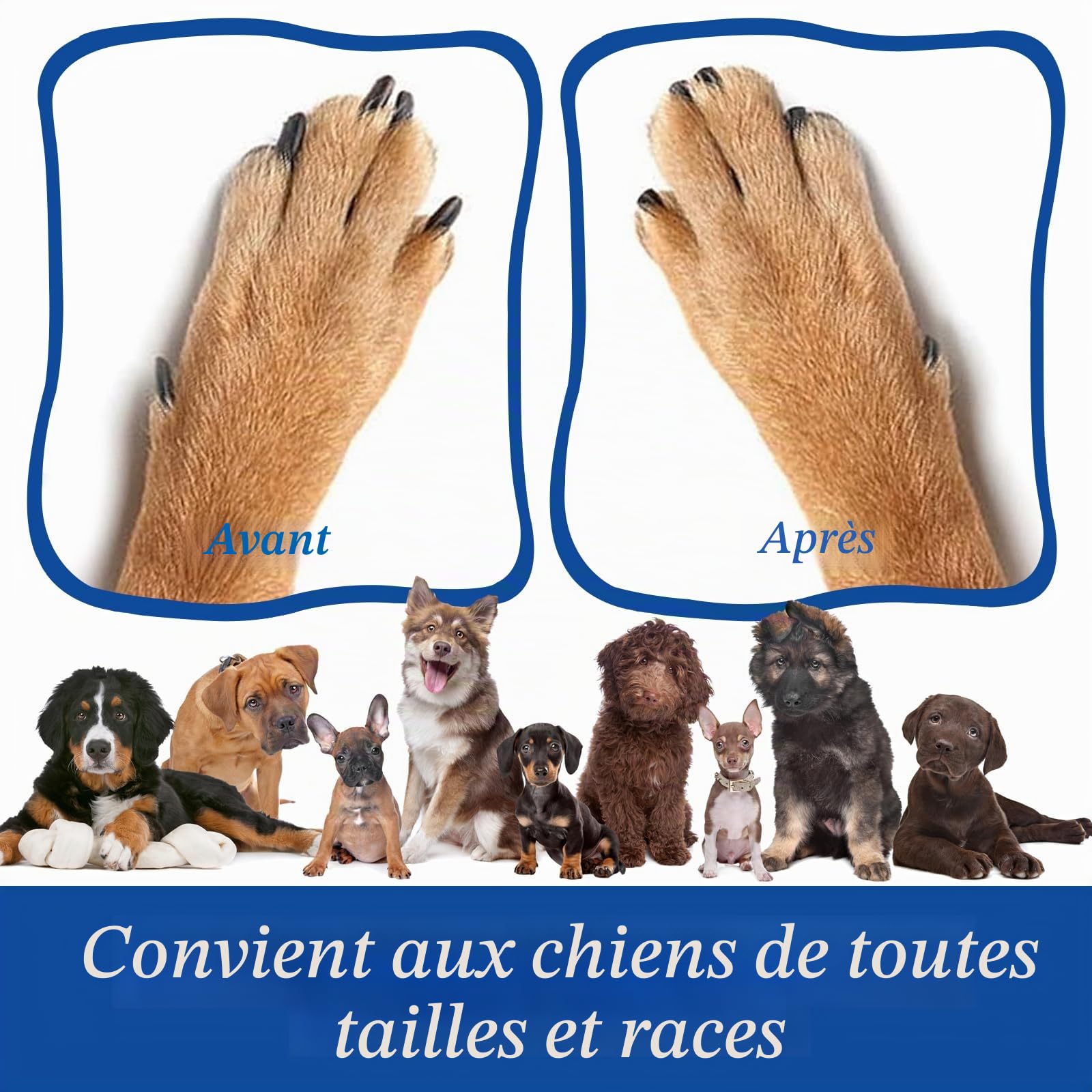 Lot de 10 planches de papier abrasif de rechange pour griffoir de chien, 35 x 25 cm, feuilles de papier abrasif de rechange pour soins des ongles des animaux de compagnie