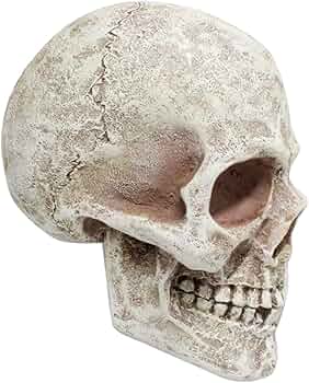 717utVquO2L._AC_UF350,