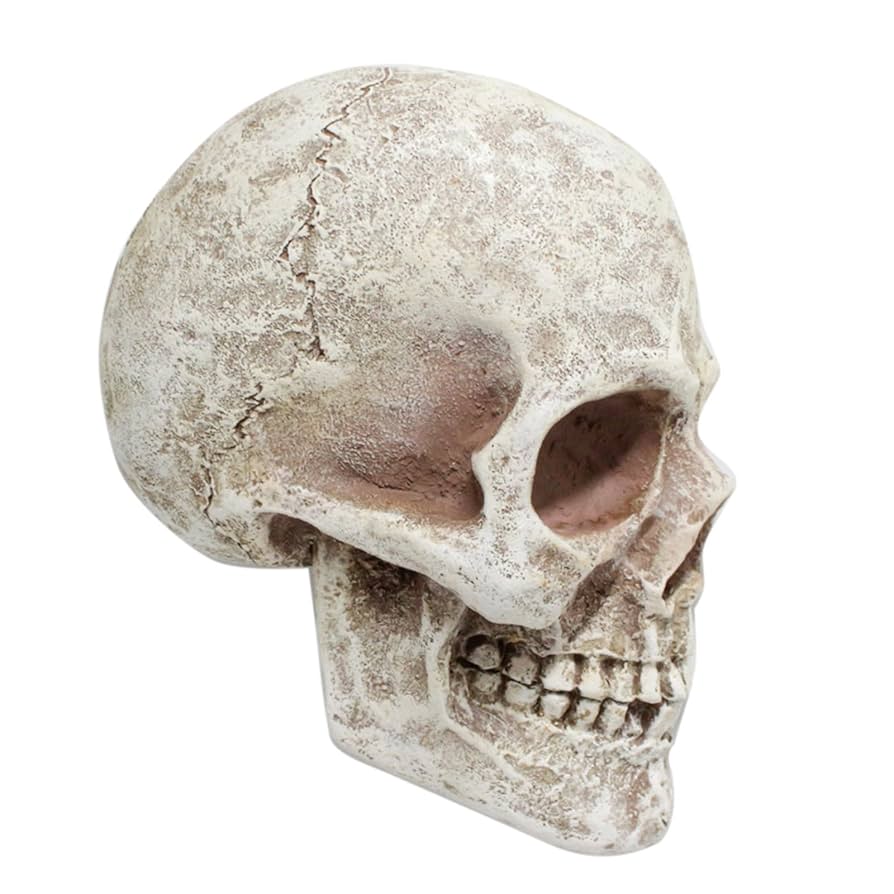 Amazon.co.jp: リアルなスカルヘッド彫刻サイドフェイススカル像