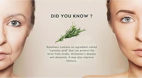 Miniatura 7 de Waybest - Suplemento de bienestar antienvejecimiento activador de vitalidad celular NRF2, 60 cápsulas de Waybest, 5 ingredientes fitonutrientes