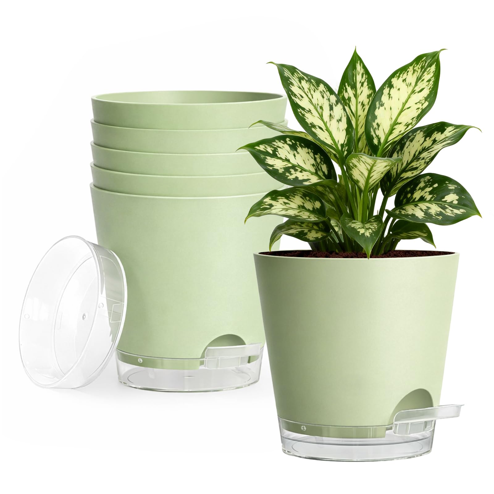 Pots de fleurs avec trous de drainage pour éviter le pourrissement
