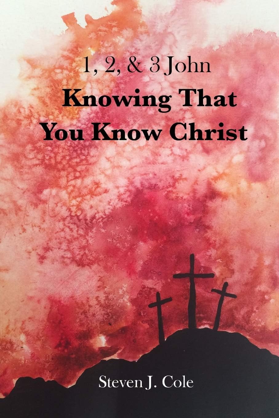 Knowing that You Know Christ: 1, 2, & 3 John (Riches from the Word)