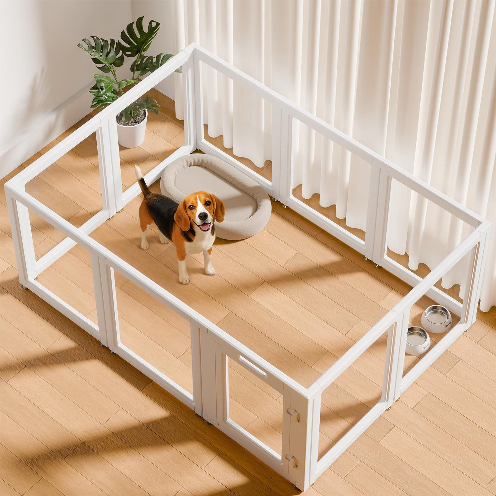 Amazon.com : EVERFRONT Clear Acrylic Dog Playpen - Clear Dog Play