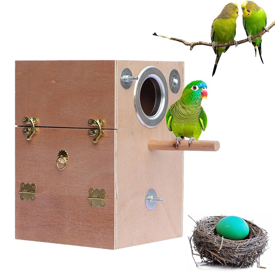 Amazon.co.jp: インコの巣箱, 鳥の巣飼育箱ケージ木造住宅