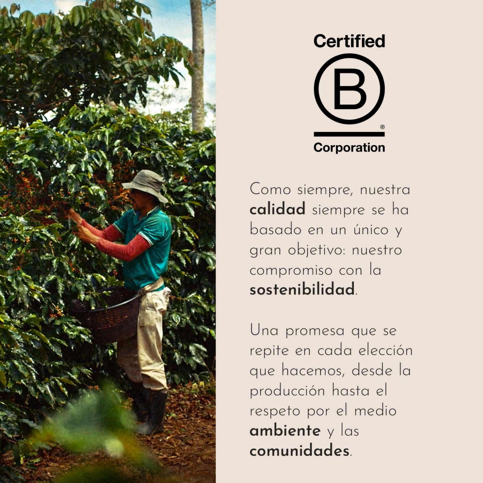 illy, Café en Cápsulas Compatibles Mix Blend, 100 Cápsulas Totales