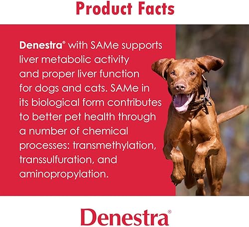 Miniatura 7 de Lo mismo para perros y gatos - S-adenosil-L-metionina - Apoyo hepático, articular y cognitivo para gatos y perros pequeños - Aprobado por